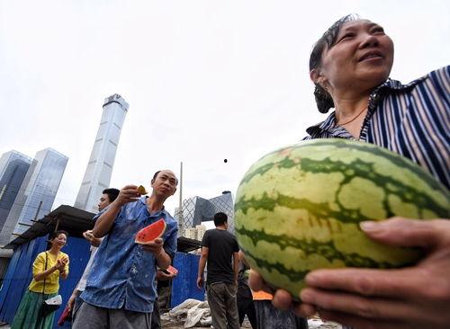 朝阳吃瓜群众网,揭秘娱乐圈幕后故事，带你领略不一样的娱乐圈