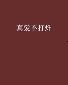 不打烊,不打烊的都市魅力之旅