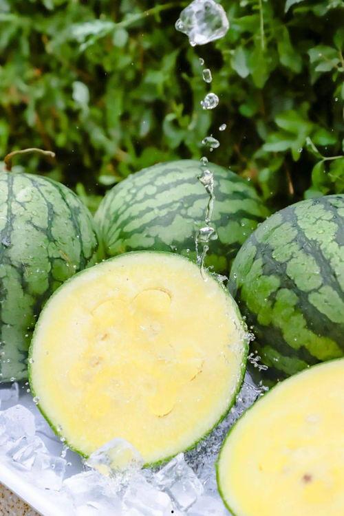 网红大瓜博雅吃瓜视频最全观看 网红黑料社,博雅吃瓜视频全解析，网红黑料社深度剖析